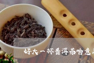 好大一杯普洱茶啥意思/2023092681137