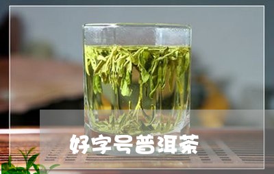 好字号普洱茶/2023042705129