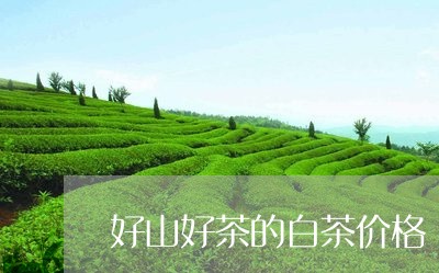 好山好茶的白茶价格/2023071606147