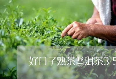 好日子熟茶普洱茶357g/2023112883724