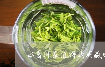 好普洱茶值得购买藏吗吗/2023062145069