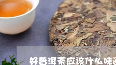 好普洱茶应该什么味道/2023100620382