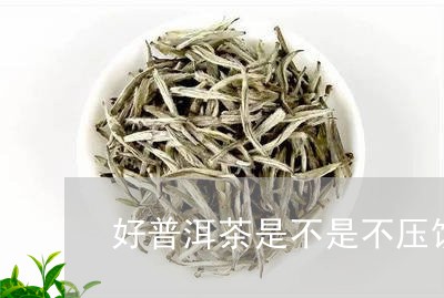 好普洱茶是不是不压饼/2023120740571