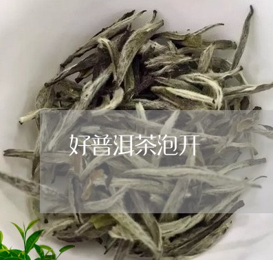 好普洱茶泡开/2023042710123