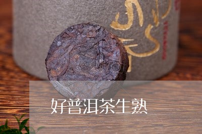 好普洱茶生熟/2023042867140