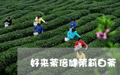 好来茶倍健茉莉白茶/2023121890805