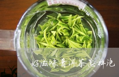 好滋味普洱茶怎样泡/2023120509852