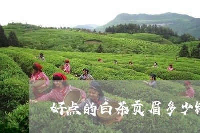 好点的白茶贡眉多少钱一斤/2023062959605