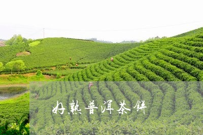 好熟普洱茶饼/2023042734961