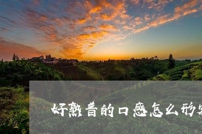 好熟普的口感怎么形容/2023092208373