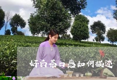 好白茶口感如何描述/2023071651493