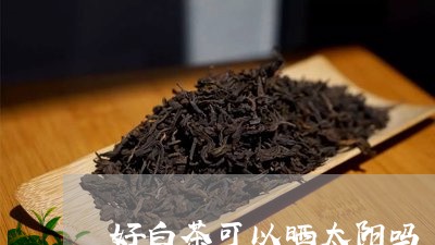 好白茶可以晒太阳吗/2023071665847