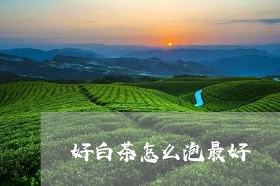 好白茶怎么泡最好/2023061710492