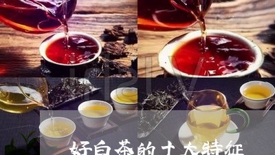 好白茶的十大特征/2023061729404