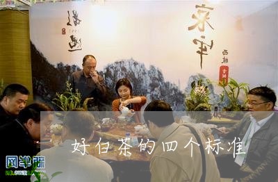 好白茶的四个标准/2023061768273