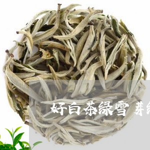 好白茶绿雪芽绿茶/2023061729673