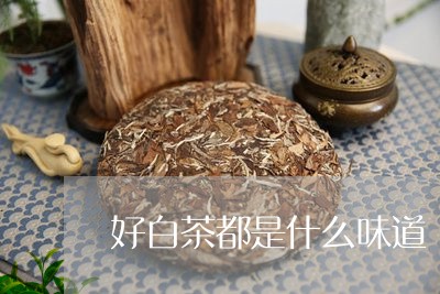 好白茶都是什么味道/2023071693837