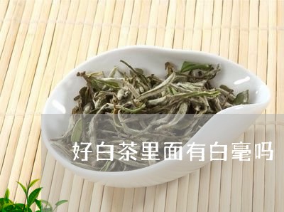 好白茶里面有白毫吗/2023081340372