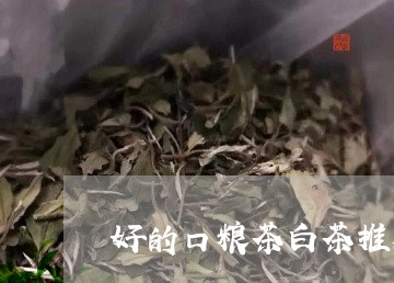 好的口粮茶白茶推荐/2023121850693