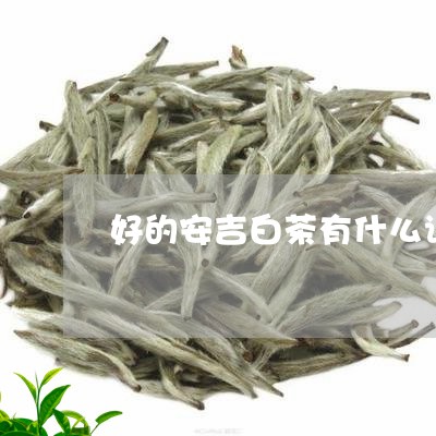 好的安吉白茶有什么讲究/2023101650483