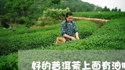 好的普洱茶上面有油膜/2023092880582