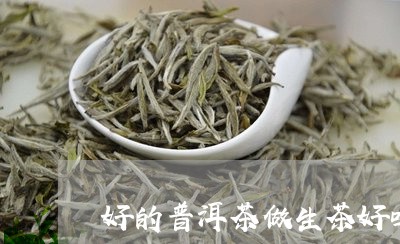 好的普洱茶做生茶好吗还是熟茶/2023110580415