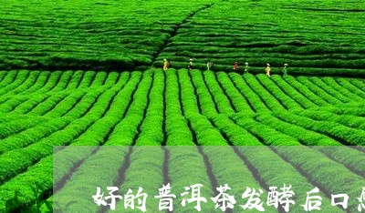 好的普洱茶发酵后口感/2023082749160