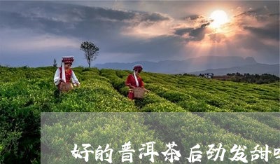 好的普洱茶后劲发甜吗/2023072499505