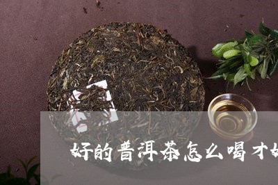 好的普洱茶怎么喝才好泡/2023050462604