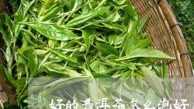 好的普洱茶怎么泡好/2023071026147