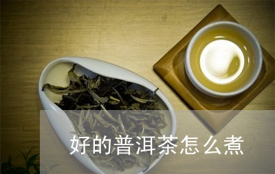 好的普洱茶怎么煮/2023110339480