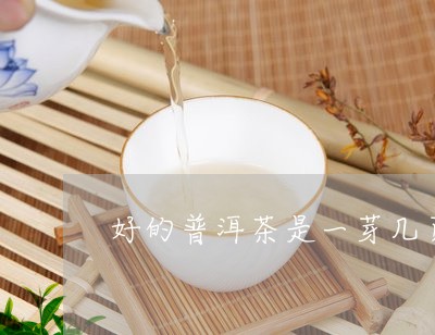 好的普洱茶是一芽几页/2023092937571