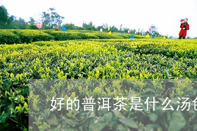 好的普洱茶是什么汤色/2023093069362