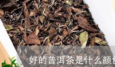 好的普洱茶是什么颜色/2023062106360