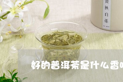 好的普洱茶是什么香味/2023092927160