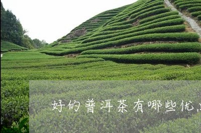 好的普洱茶有哪些优点/2023063016249