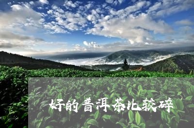 好的普洱茶比较碎/2023101686130