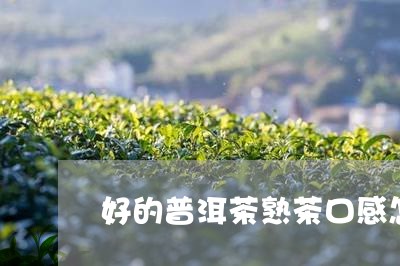 好的普洱茶熟茶口感怎么样/2023121594926