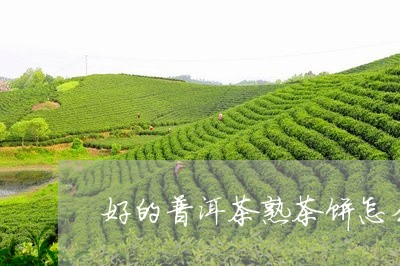 好的普洱茶熟茶饼怎么挑选/2023112990270