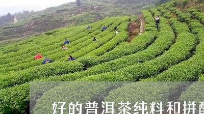 好的普洱茶纯料和拼配/2023092624038