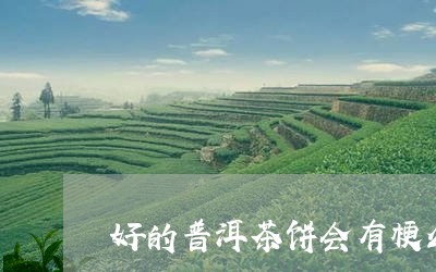 好的普洱茶饼会有梗么/2023072338149