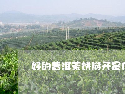 好的普洱茶饼掰开是什么样的/2023110270895