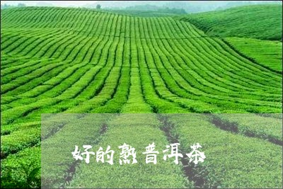 好的熟普洱茶/2023042981602