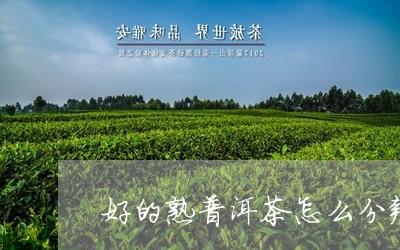 好的熟普洱茶怎么分辨/2023062000461