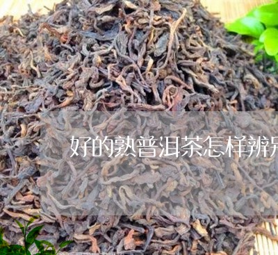 好的熟普洱茶怎样辨别好坏/2023112468493