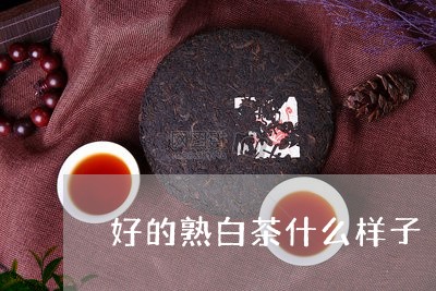 好的熟白茶什么样子/2023071683159