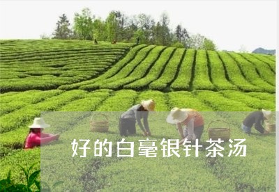 好的白毫银针茶汤/2023090675048