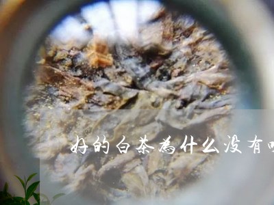 好的白茶为什么没有味道/2023101610493