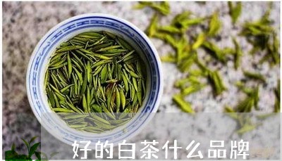 好的白茶什么品牌/2023061790794