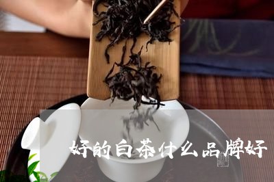 好的白茶什么品牌好/2023071657460